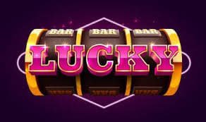 7788 com bet